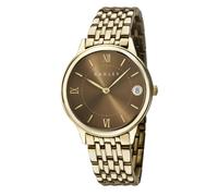 RADLEY Ladies Gold Plated Round Stainless Steel Bracelet Watch