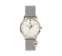 RADLEY Ladies Silver Mesh Strap Watch RY4385S