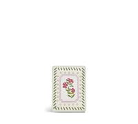Radley London Carousel Small Travelcard Holder for Women, in Chalk Leather with Applique Merry-Go-Round Print