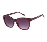 Radley RDS 6533 161 Women’s Sunglasses Tortoiseshell Size 54