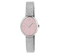 RADLEY Silver Plated Oval Case Mesh Bracelet Watch RY4663