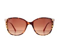 RADLEY Womens Romala Sunglasses Gloss Tort/Gold OS