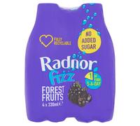 Radnor Fizz Forest Fruits 4X330ml