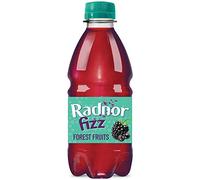 Radnor Fizz Forest Fruits No Added Sugar Juice Drink 24x330ml