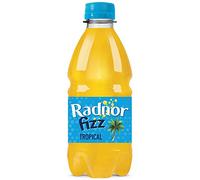 Radnor Fizz Tropical No Added Sugar Juice Drink 24x330ml