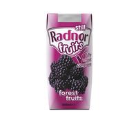 Radnor Fruits Forest Fruits Tetra Pack 200ml (Pack of 24) T-RF20STFF/24