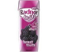 Radnor Fruits Still Forest Fruits Cartons - 60x125ml