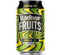 Radnor Hills Radnor Fruits Sparkling Lemon & Lime - 24x330ml