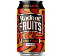 Radnor Hills Radnor Fruits Sparkling Orange & Mango - 24x330ml