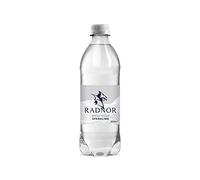 Radnor Hills Sparkling Water 500ml (Pack of 24)