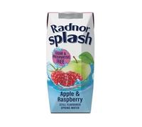 Radnor Hills Radnor Splash Tetra Apple & Raspberry 250ml (Pack of 24)
