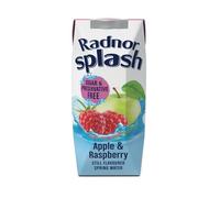 Radnor Hills Splash Water Tetra Pak Apple Raspberry 250ml (Pack of 24) 0201067