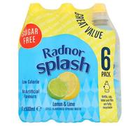Radnor Lemon & Lime Still Water Drink 500ml (Pack of 6) | Citrus Flavoured Refreshment Beverage | Convenient Grab & Go Bottles | Family & Catering Multipack