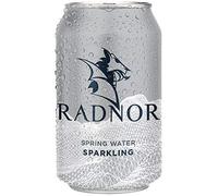 Radnor Hills Sparkling Spring Water Cans