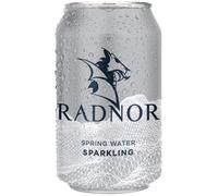 Radnor Sparkling Spring Water Cans 330ml Box 24