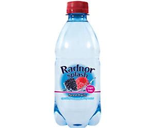Radnor Splash Sparkling Forest Fruit Flavoured Water 24 Bottles of 330 ml