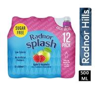 Radnor Splash Sugar Free Apple & Raspberry 24x500ml