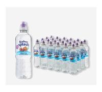 Radnor Splash Sugar Free Summer Fruits 24x500ml