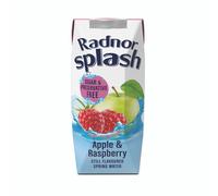 Radnor Splash Wtr Ap/Rasp 250ML PK24