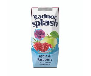 Radnor Splash Wtr Ap/Rasp 250ML PK24