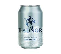 Radnor Spring Water Sparkling 330ml Can (Pack of 24) 0201062
