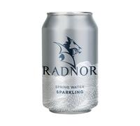 Radnor Hills Spring Water Sparkling 330ml Can (Pack of 24) 0201062