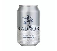 Radnor Sprng Wtr Spklg 330ML Can P24
