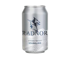 Radnor Sprng Wtr Spklg 330ML Can P24