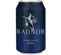 Radnor Still Spring Water Cans - 330ml (Box 24)