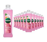 Radox Bath Feel Blissful Bath Soak Blended with Minerals, Herbs, Calendula and Rose Leaving Your Skin Delightfully Fragrant, 500ml Bulk Buy (12)
