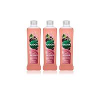 Radox 100% Nature Inspired Fragrance Bath Soak, Feel Detoxed, 6 Pack,
