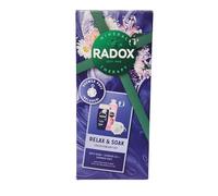 Radox Mineral Therapy Assorted Shower Gel Collection - Refreshing Body Wash Gift Set with Shower Puff (radox relax & sock)