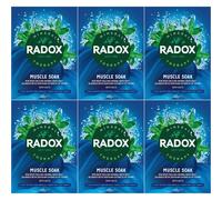 Radox Salts Muscle Soak 400g x 12