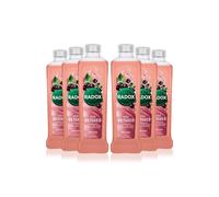 Radox Women's 100% Nature Inspired Fragrance 'Bath Soak', Feel Detoxed, 6 x 500ml in Pink Radox Pink
