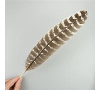RAEF 10Pcs/Lot Natural Eagle Feathers for Crafts Plume Headdress Accessories Holiday Decoration Carnival Feather DIY Handicraft Decor