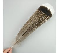 RAEF 10Pcs/Lot Natural Eagle Feathers for Crafts Plume Headdress Accessories Holiday Decoration Carnival Feather DIY Handicraft Decor
