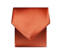 Rael-Brook Folkespeare | Men’s Satin Classic Tie | Plain