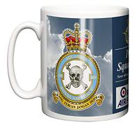 RAF 100 Squadron Ceramic Mug, Crest Motto, Leeming Base Station Royal Air Force
