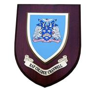 raf College Cranwell Wall Plaque Royal Air Force Regimental Military Mess Shield
