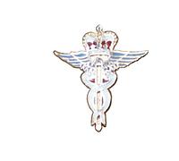RAF Medical Lapel Pin Royal Air Force Military Badge