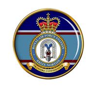 RAF Station Brize Norton Pin Badge