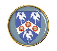 RAF Station Cranwell College Pin Badge