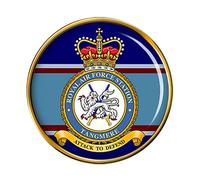 RAF Station Tangmere Pin Badge