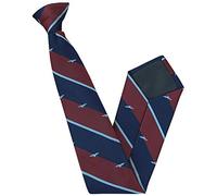 RAF Wings Regimental Clip-on Tie