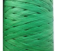 Raffia Ribbon 24 Colours 30m Long 7-10mm wid Gift Wrapping Decorating Scrapbooks Crafts (Mint Green)