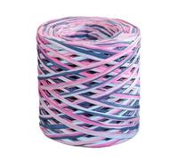Raffia Straw Yarn， Raffia Paper Ribbon Multicolor 200M Roll for Knitting Crocheting Packing Decor(Colour)