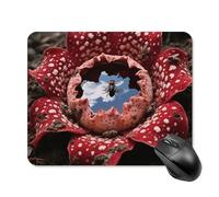 Rafflesia with Flies Mouse Pad Cute Square Mouse Mat Leather Non-Slip Rubber Base Mousepad Waterproof Computer Mouses Pad for Laptop Wireless Mouses Keyboard Home Office 20 * 25cm