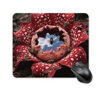 Rafflesia with Flies Mouse Pad Cute Square Mouse Mat Leather Non-Slip Rubber Base Mousepad Waterproof Computer Mouses Pad for Laptop Wireless Mouses Keyboard Home Office 25 * 30cm