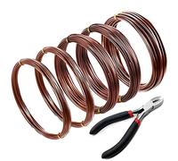 Rafstya 5 Roll Tree Training Bonsai Wire Cutter Anodized Aluminum Wire for Holding Bonsai Branches Small Trunks (Brown)