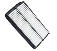 RAGBUSCLE Engine Air Filter, 17220-5J6-A10, PA99178 Compatible with Honda Odyssey All Engine 2018-2023, Honda Pilot All Engine 2016-2022, Replaces EAF032, MT-061